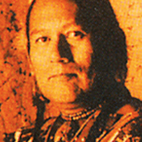 authors/r-carlos-nakai