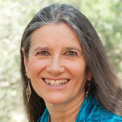 authors/sandra-ingerman